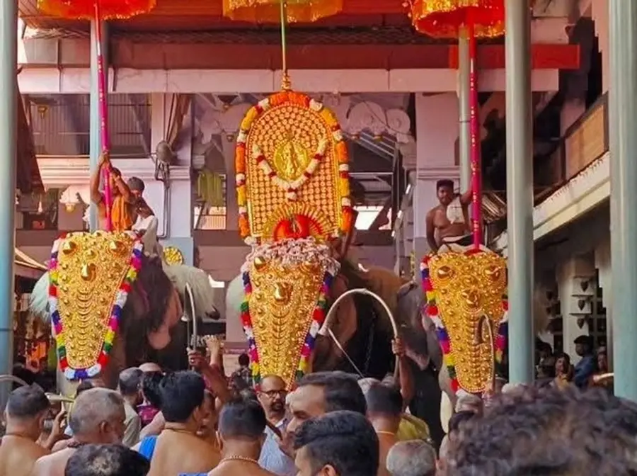 elephant procession 