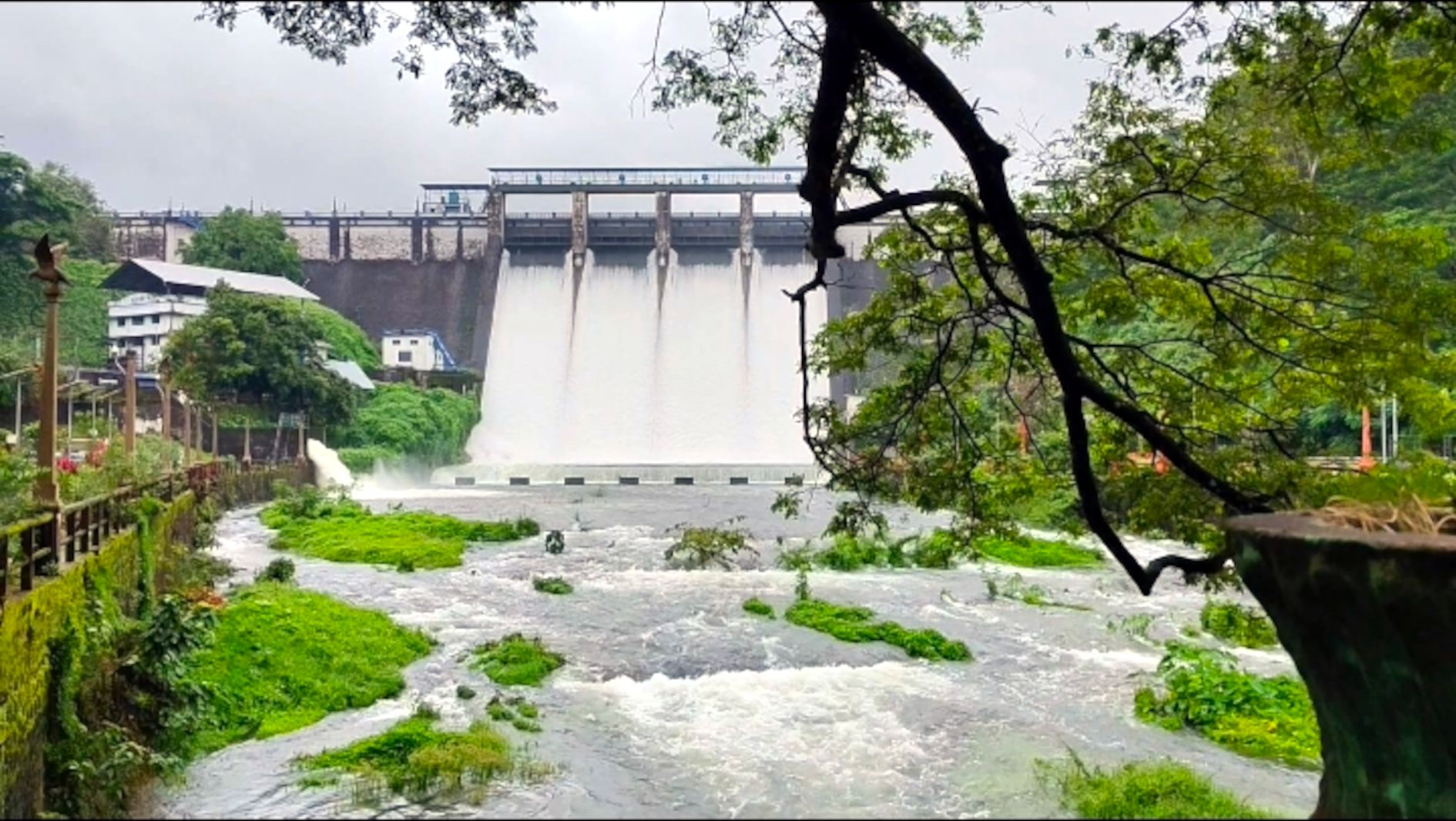 പീച്ചി ഡാം