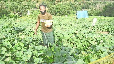 കീഴാറ്റൂരിലെ പച്ചക്കറിത്തോട്ടത്തിൽ രജീഷ്​