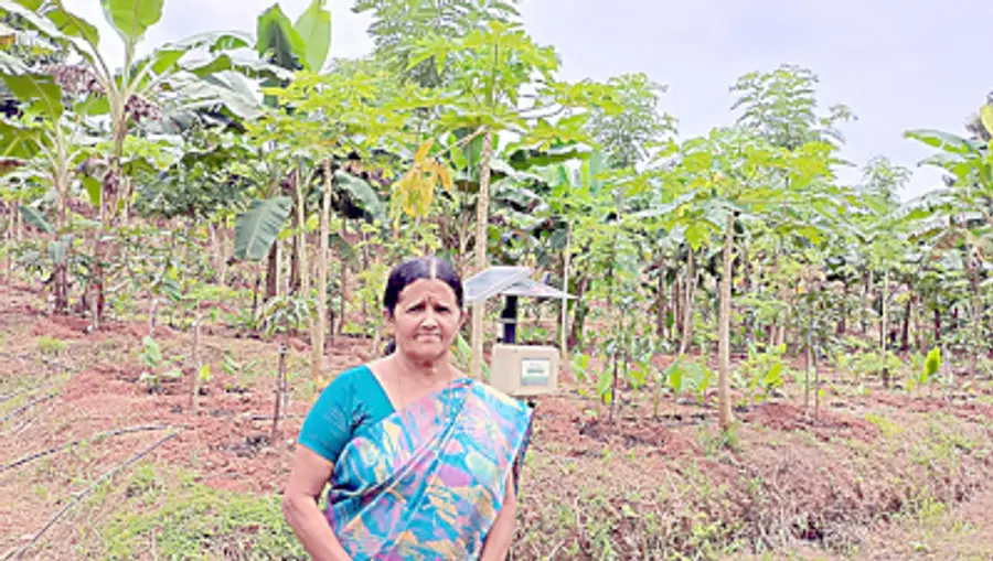 വി എം ഊർമിള കൃഷിത്തോട്ടത്തിൽ