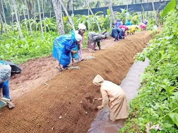 തോട് സംരക്ഷണത്തിന്റെ ഭാഗമായി കയർ ഭൂവസ്ത്രം വിരിക്കുന്നു (ഫയൽ ചിത്രം) 