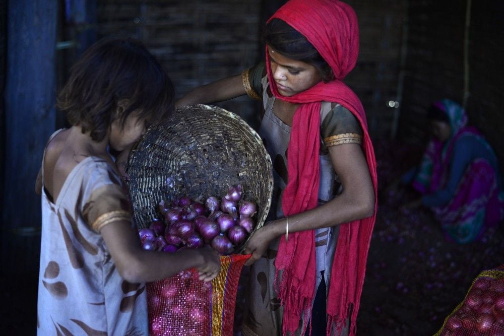 FARMERS