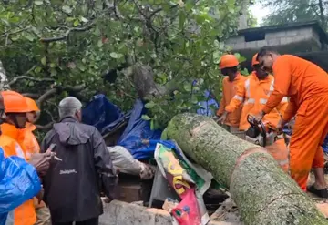 തൃപ്രണത്ത് ഷെഡിന് മുകളിൽ വീണ മരം മുറിച്ച് മാറ്റുന്നു
