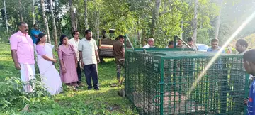 പുലി
