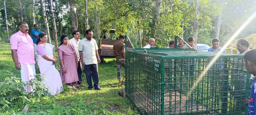 പുലി