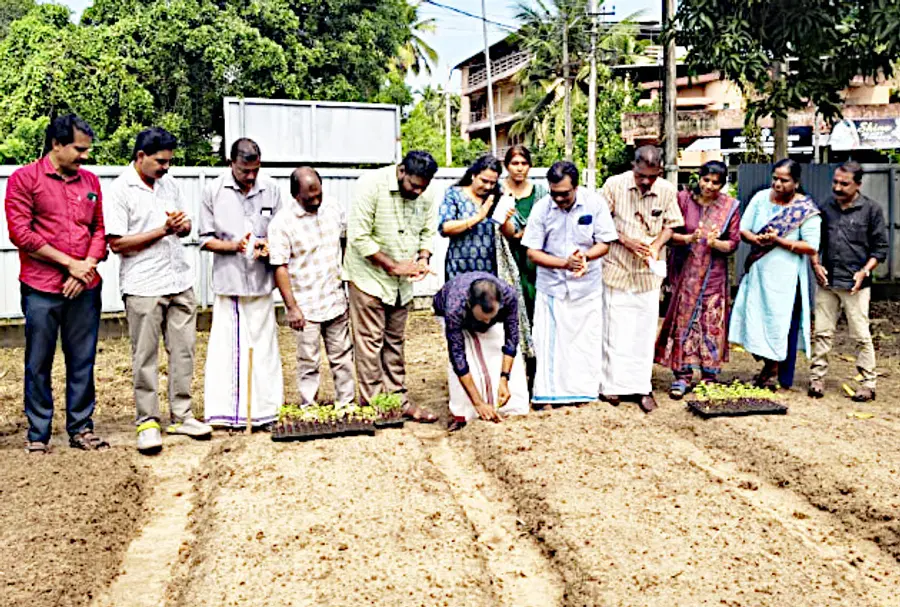 കേരള എൻജിഒ യൂണിയൻ ഹരിപ്പാട് ഏരിയ കമ്മിറ്റിയുടെ ബന്ദിപ്പൂ കൃഷിക്ക് കേരള കർഷകസംഘം ജില്ലാ സെക്രട്ടറി സി ശ്രീകുമാർ ഉണ്ണിത്താൻ തൈനടുന്നു