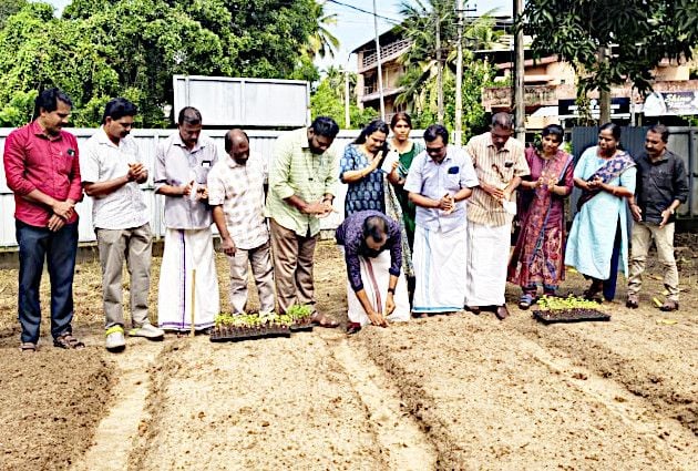 കേരള എൻജിഒ യൂണിയൻ ഹരിപ്പാട് ഏരിയ കമ്മിറ്റിയുടെ ബന്ദിപ്പൂ കൃഷിക്ക്‌ കേരള കർഷകസംഘം ജില്ലാ സെക്രട്ടറി സി ശ്രീകുമാർ ഉണ്ണിത്താൻ തൈനടുന്നു