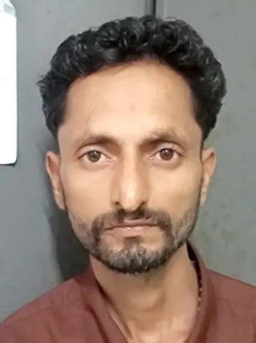 റിൻസ്