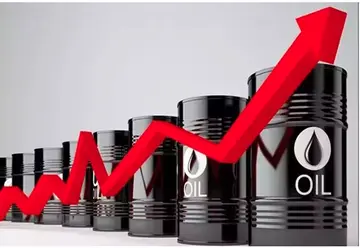 crude