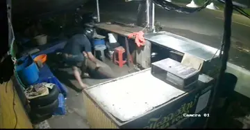 ചാലിയം കപ്പലങ്ങാടിയിൽ കല്ലുമ്മക്കായ ചാക്ക് മോഷ്ടിച്ചുകൊണ്ടുപോകുന്നതിന്റെ സിസിടിവി ദൃശ്യം