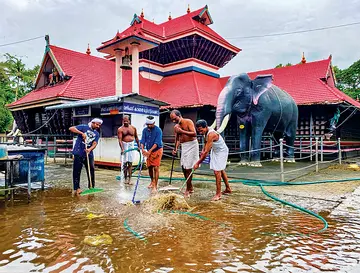 വെള്ളം ഇറങ്ങിയശേഷം ചക്കുളത്തുകാവ് ഭഗവതിക്ഷേത്രം വൃത്തിയാക്കുന്നു