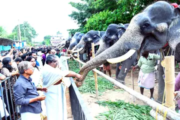 ശ്രീ കൂടൽ മാണിക്യം ക്ഷേത്രത്തിൽ നടന്ന ആനയൂട്ട്