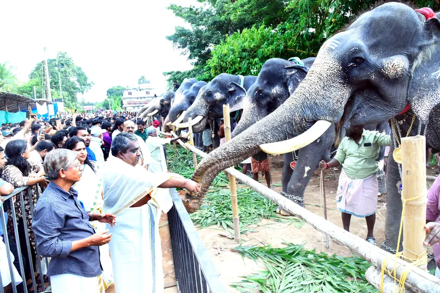 ശ്രീ കൂടൽ മാണിക്യം ക്ഷേത്രത്തിൽ നടന്ന ആനയൂട്ട്