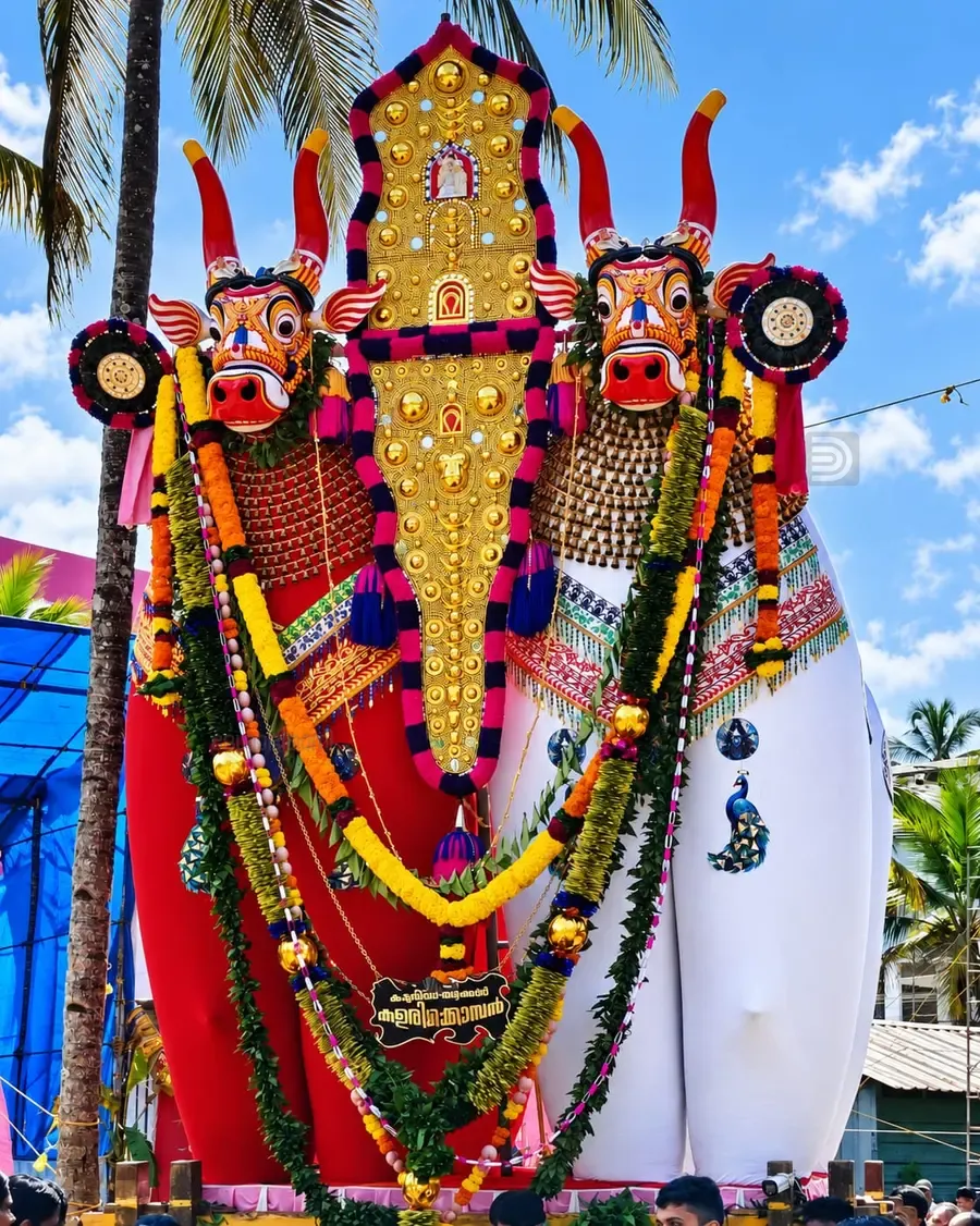 കെട്ടുകാള