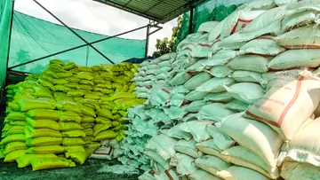 Urea