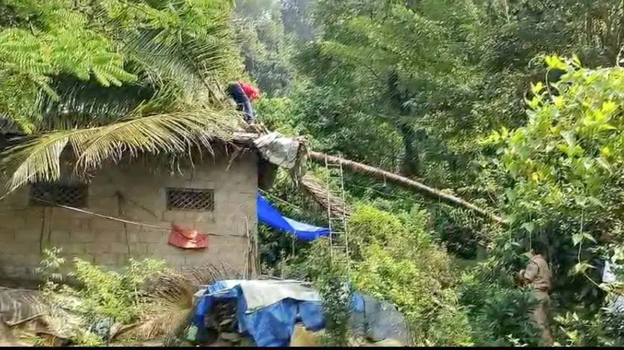 Elephant