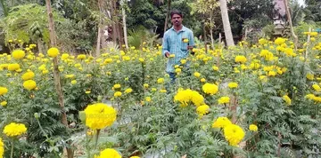 ഹരിലാല്‍ കൃഷിയിടത്തില്‍ 