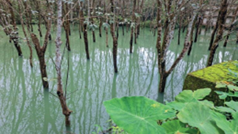 Agricultural sector in crisis