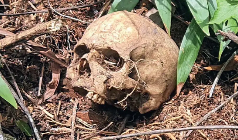 skeleton found