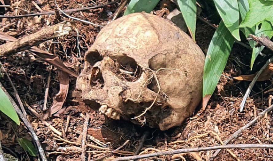 skeleton found