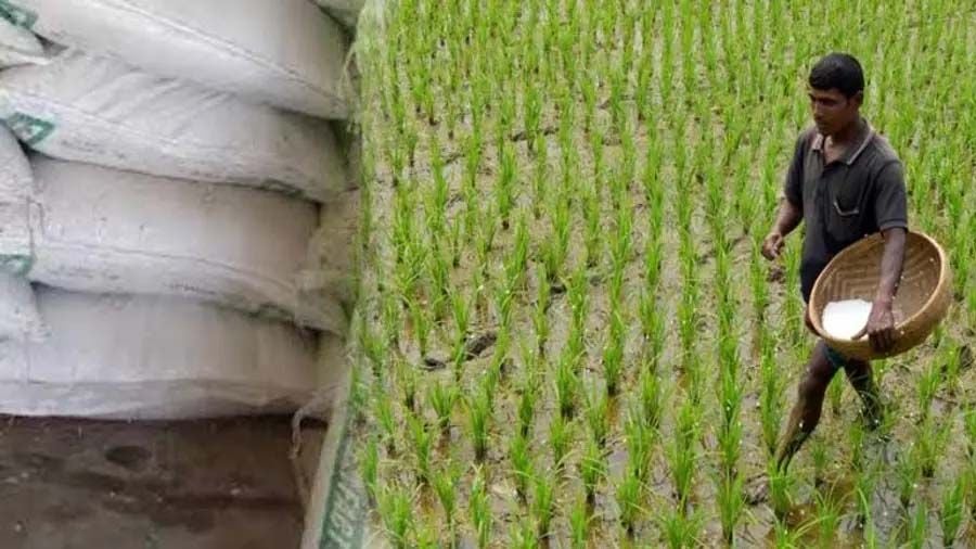 farmers raid for fertiliser