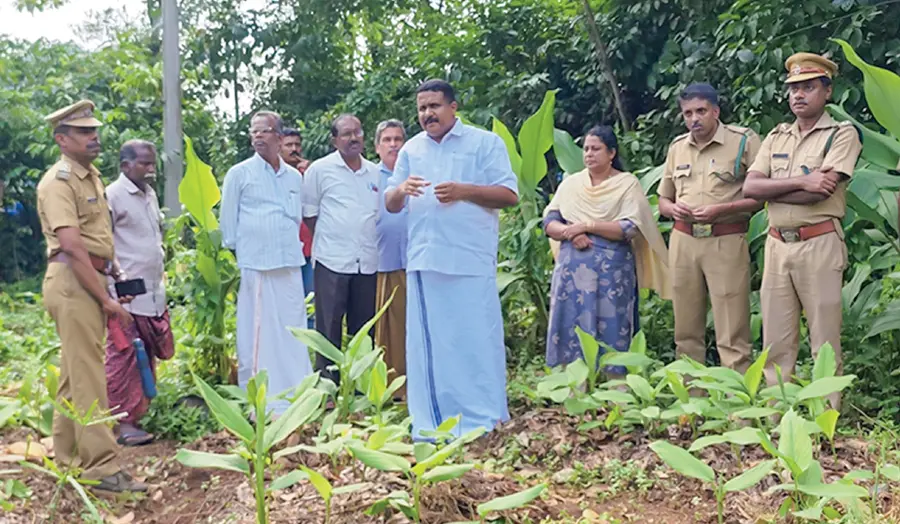 Wild Elephant Attack