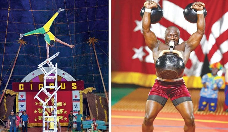 Jumbo Circus