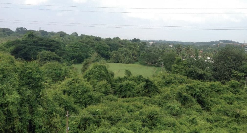 Judicial City kalamassery