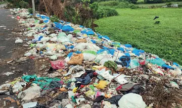 Kalamassery Muncipality