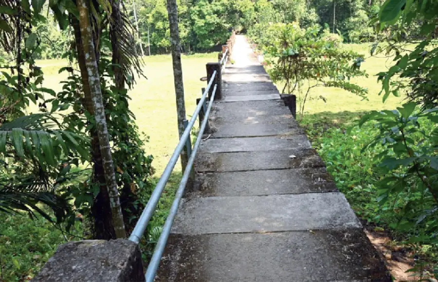 koovappady panchayath