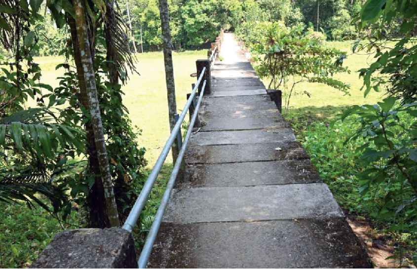 koovappady panchayath