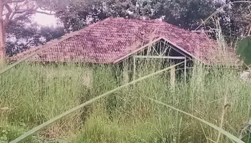 parakkadavu panchayath
