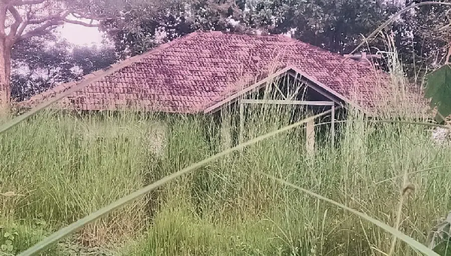 parakkadavu panchayath