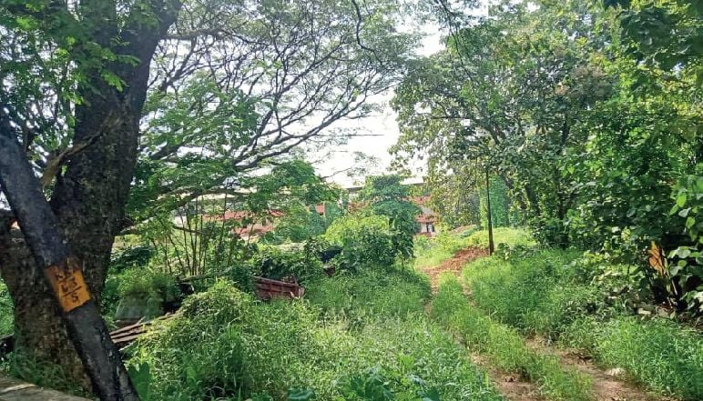 Perumbavur Muncipality