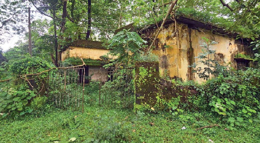 pindimana panchayath