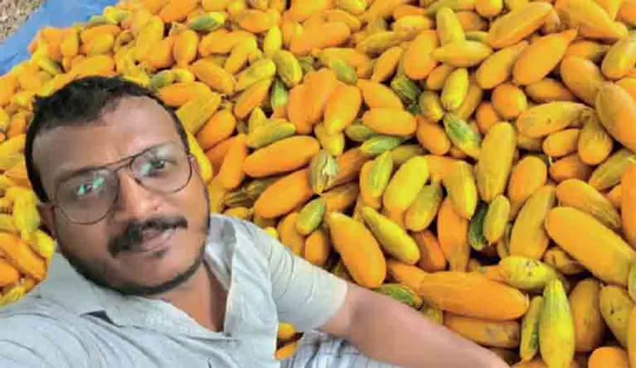 kani vellari