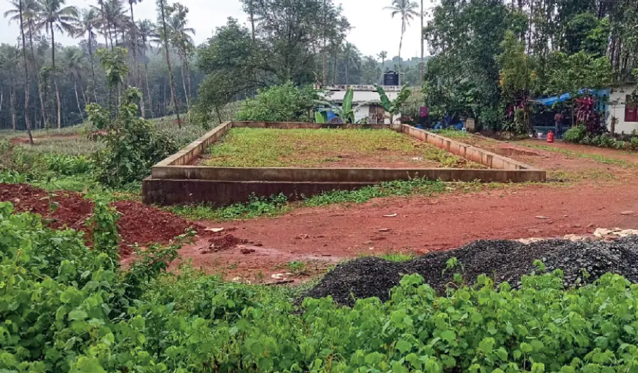 pothanikkad panchayath