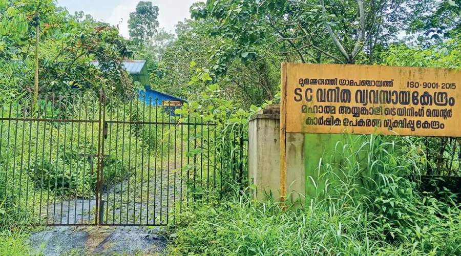 lsgd
