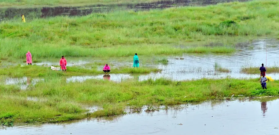 മഴയെ അവഗണിച്ച് ഭാരതപ്പുഴയിൽ മണൽത്തിട്ടയിൽനിന്ന് മീൻ പിടിക്കുന്നവർ. മായന്നൂർ പാലത്തിൽനിന്നുള്ള കാഴ്ച / ഫോട്ടോ: സുമേഷ് കോടിയത്ത്