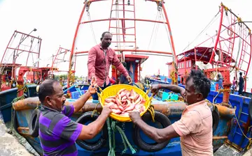 ട്രോളിങ് നിരോധനത്തിനു ശേഷം കടലിൽപോയി  തിരികെവന്ന ബോട്ടുകളിൽനിന്ന് മീൻ ഇറക്കുന്ന  തൊഴിലാളികൾ.  ശക്തികുളങ്ങര ഹാർബറിൽ നിന്നുള്ള ദൃശ്യം                                              ഫോട്ടോ: എം എസ് ശ്രീധർലാൽ