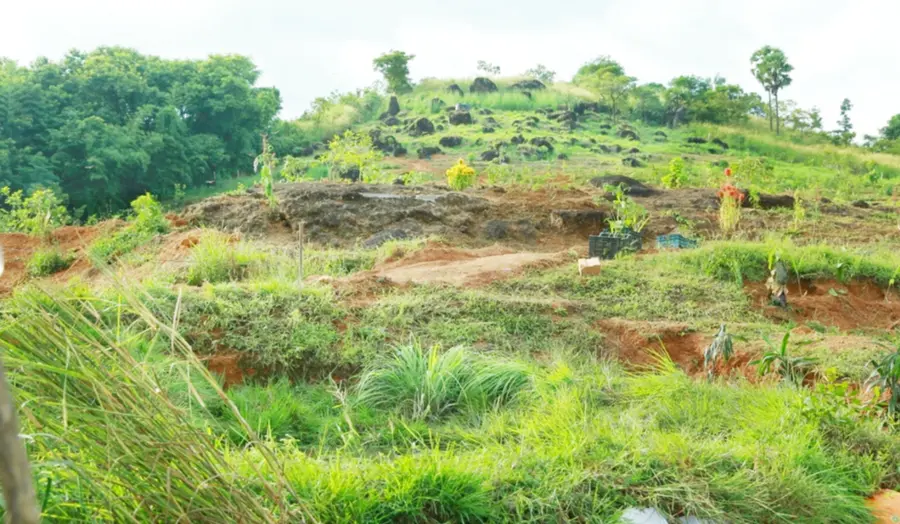 എരവിമംഗലം താഴെപ്പറ്റയിൽ സജ്ജീരിച്ച പച്ചത്തുരുത്ത്