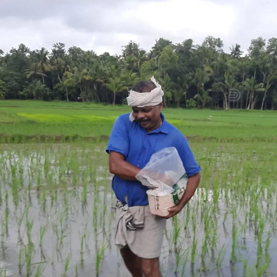 സത്യപ്രസാദ് കൃഷിയിടത്തിൽ