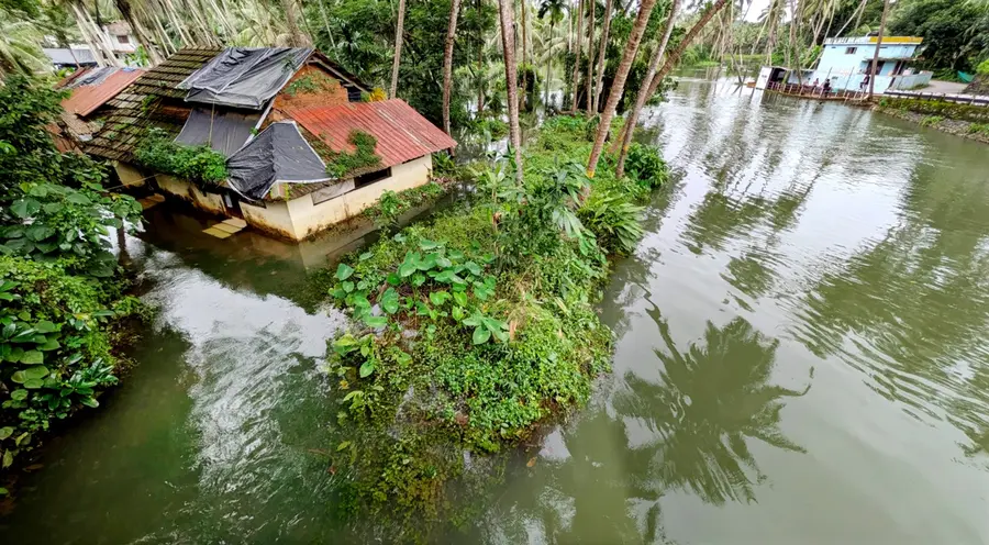 പയ്യടിമീത്തല്‍ ഭാഗത്ത് മാമ്പുഴയുടെ ജലനിരപ്പ് ഉയര്‍ന്ന് കവിഞ്ഞപ്പോള്‍