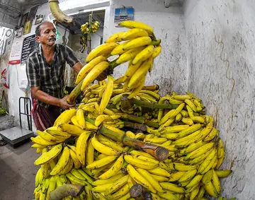 കൊല്ലം ചിന്നക്കടയിലെ പഴക്കട