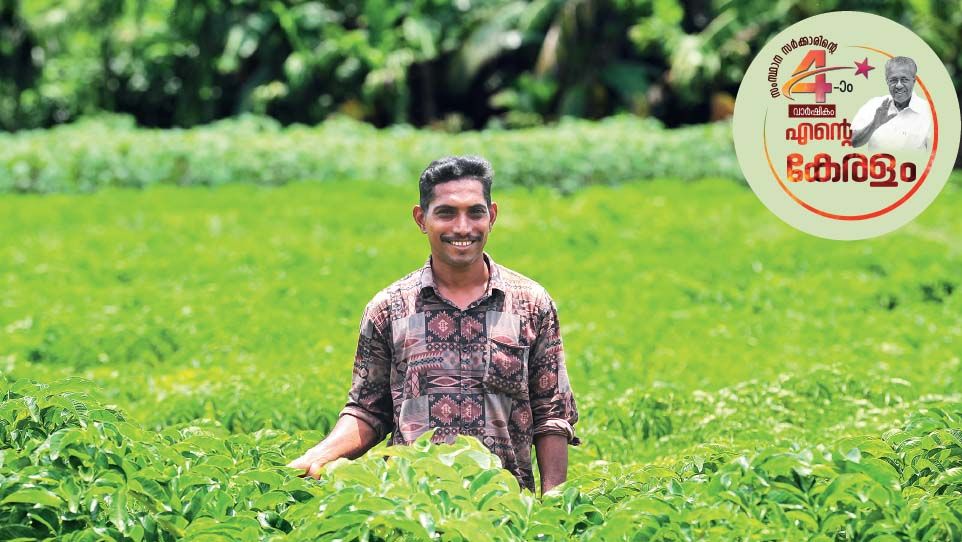 agriculture development in kerala