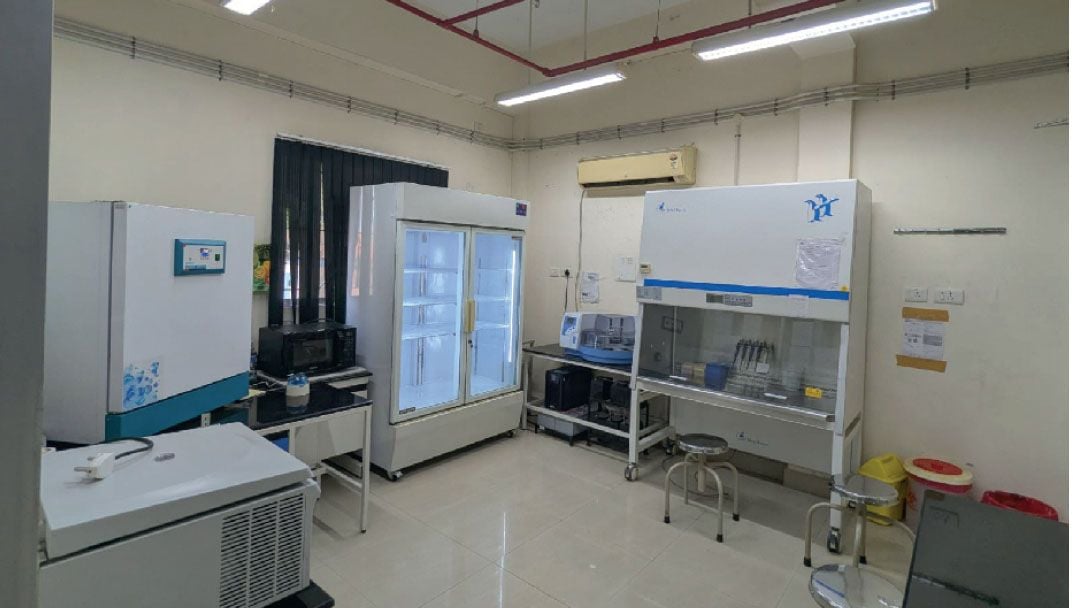 amoebic meningoencephalitis