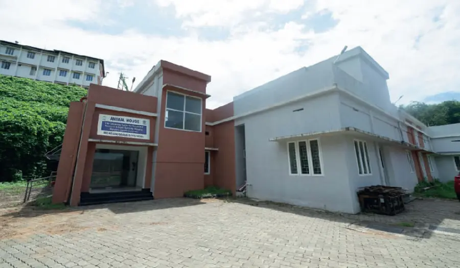 amoebic meningoencephalitis