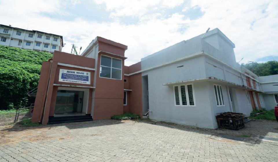 amoebic meningoencephalitis