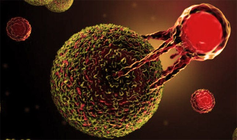 CAR T cell therapy 