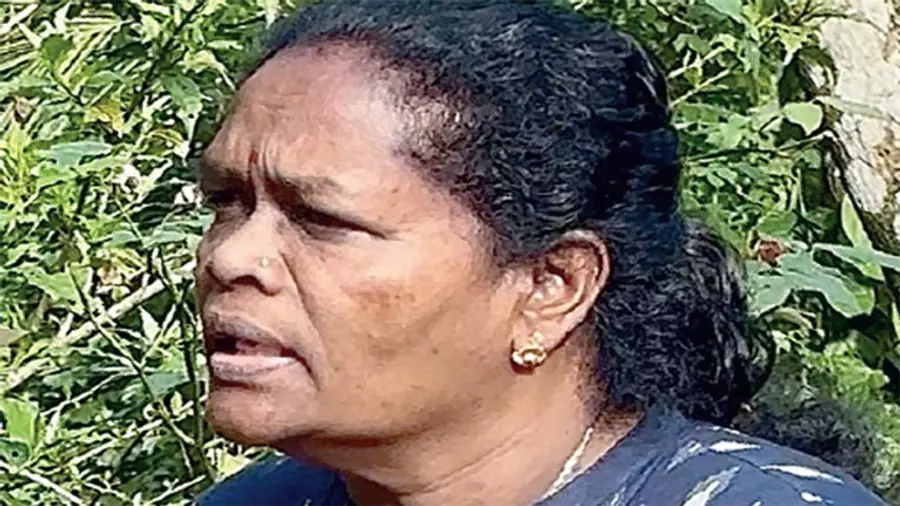 c k janu